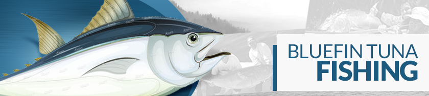 BlueFin Tuna Fishing