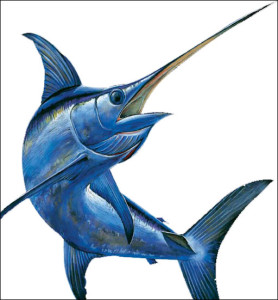 swordfish-swimming