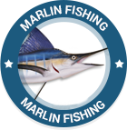 marlin1