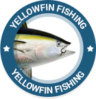 yellowfin1