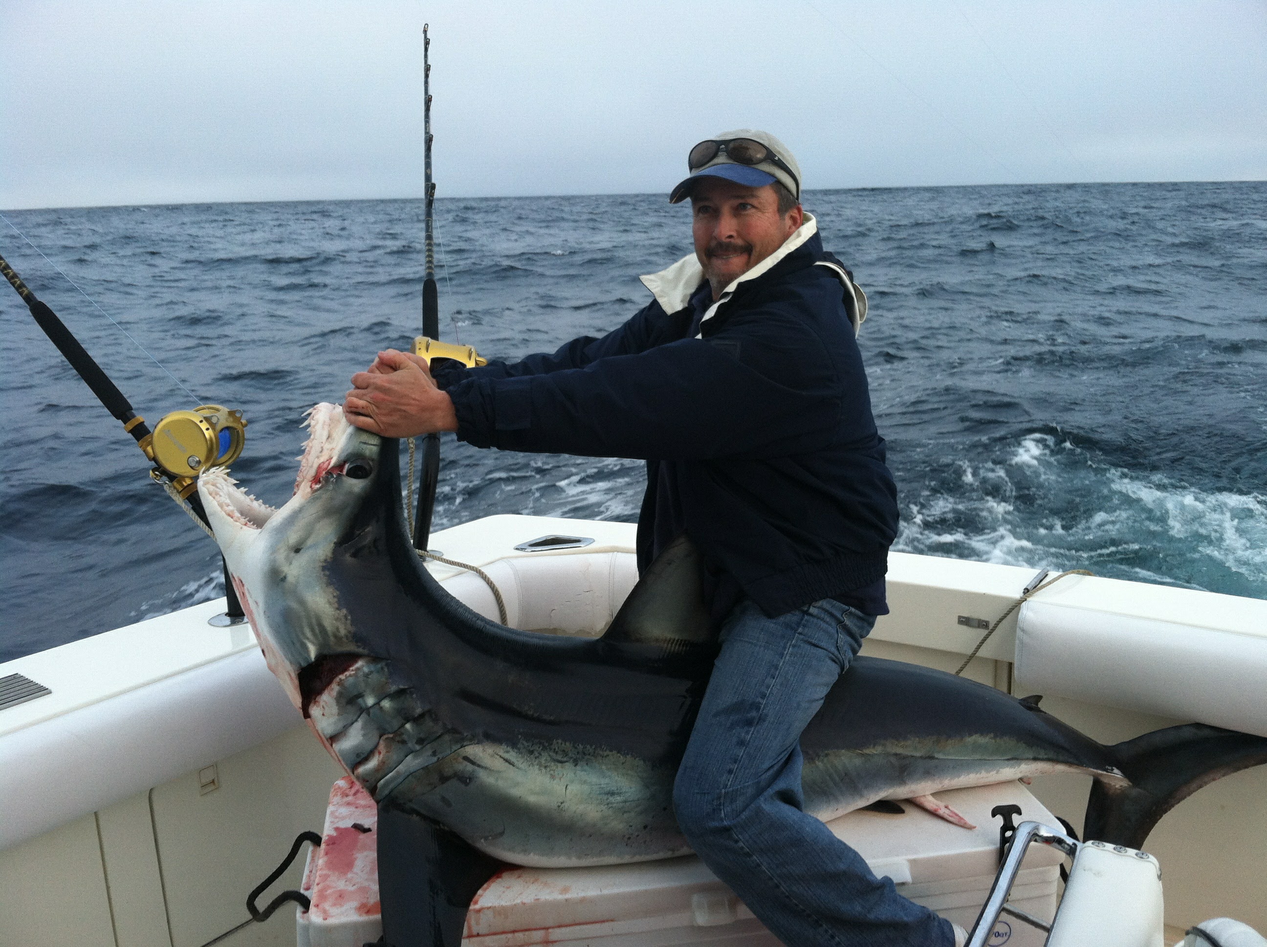 shark fishing rod,Save up to