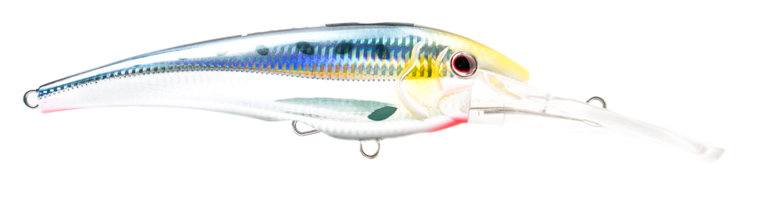 NOMAD DESIGN DTX Minnow 220 Sinking 8.75 Lure – Crook and Crook Fishing,  Electronics, and Marine Supplies